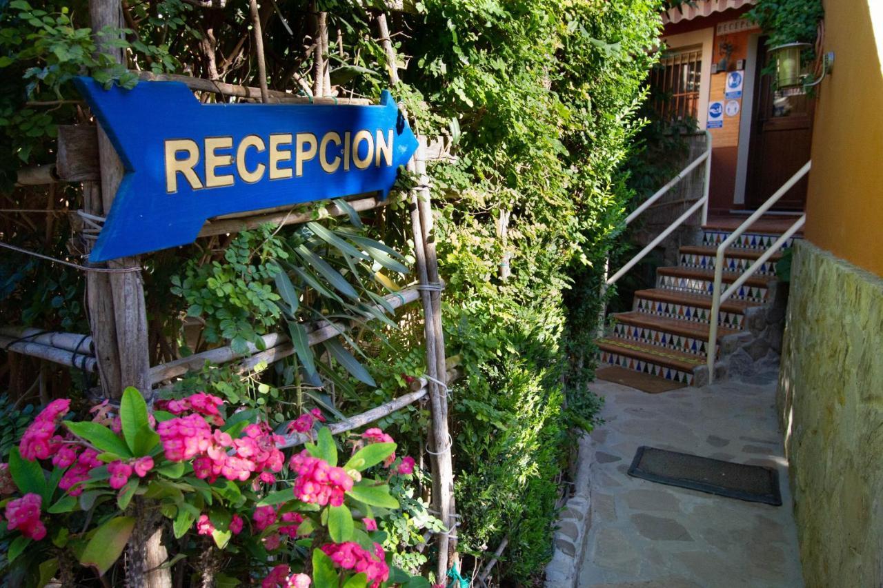 Apartamentos Turisticos Trajano Bolonia Ngoại thất bức ảnh