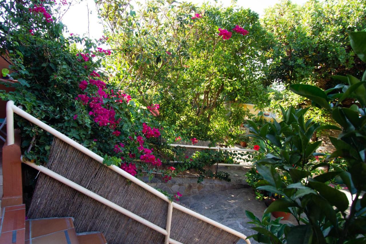 Apartamentos Turisticos Trajano Bolonia Ngoại thất bức ảnh